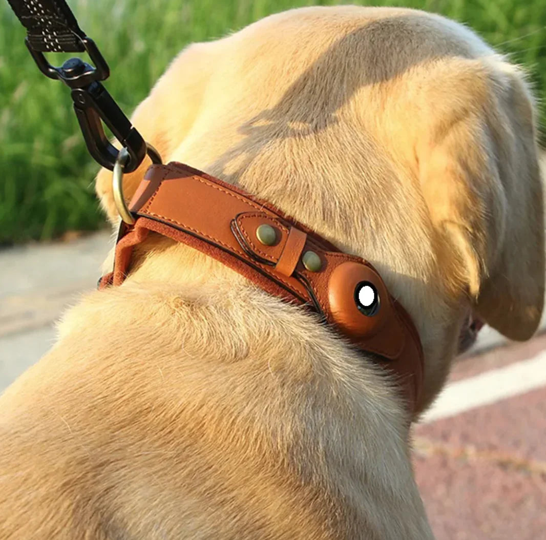 Leather Dog Collar with AirTag Compatibility