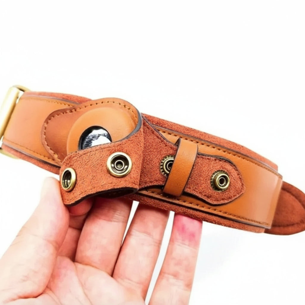 Leather Dog Collar with AirTag Compatibility